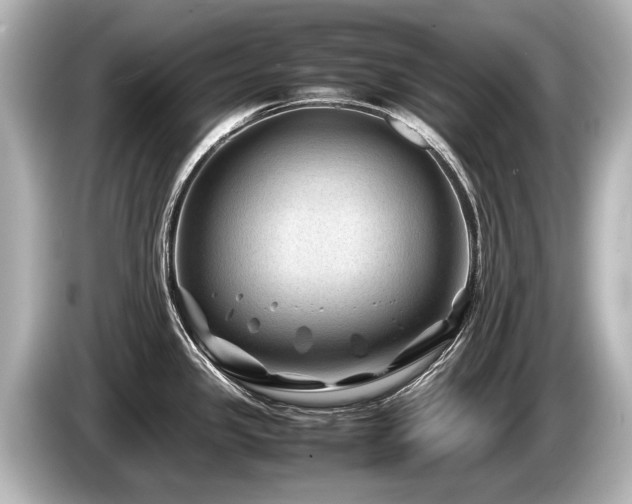 X0000085731341200703160956