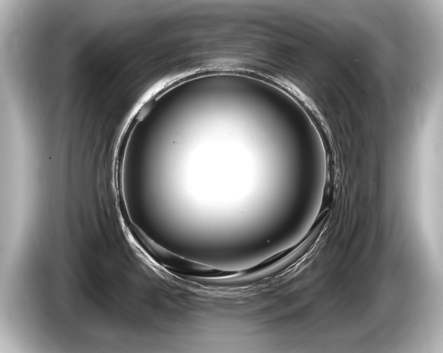 X0000085731342200703160956