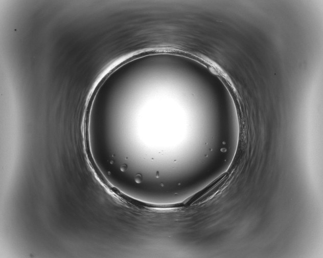 X0000085731343200703160956