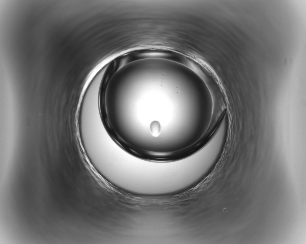 X0000085731344200703160956