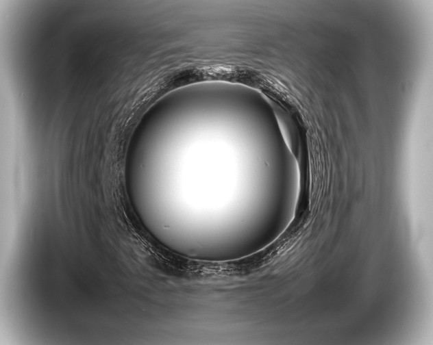 X0000085731345200703160956