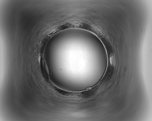 X0000085731347200703160956