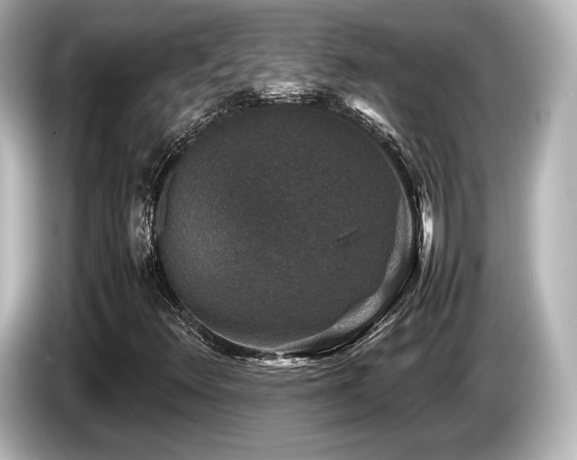 X0000085731348200703160956