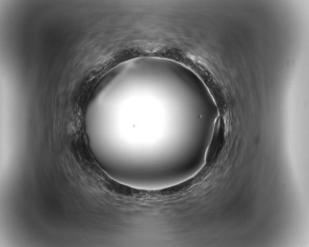 X0000085731349200703160956