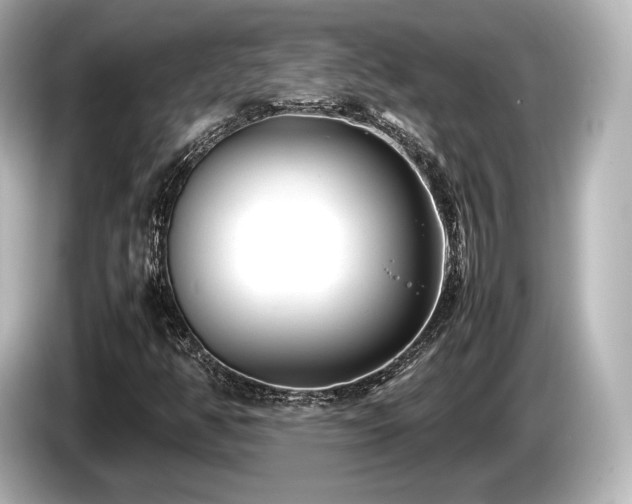 X0000085731350200703160956