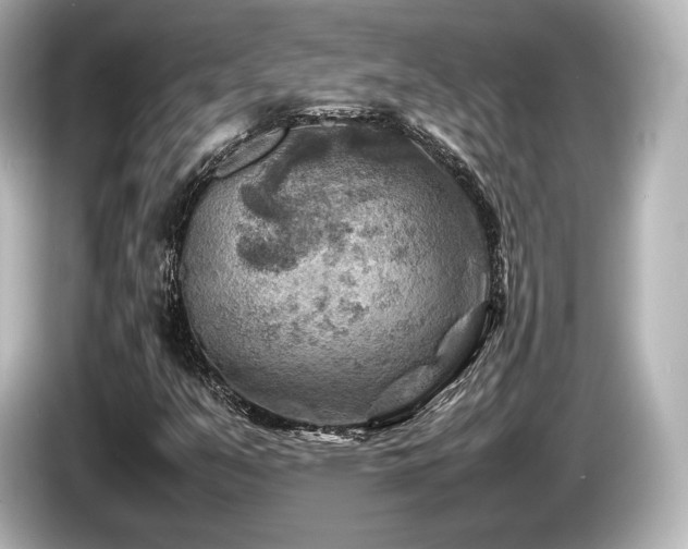 X0000085731351200703160956