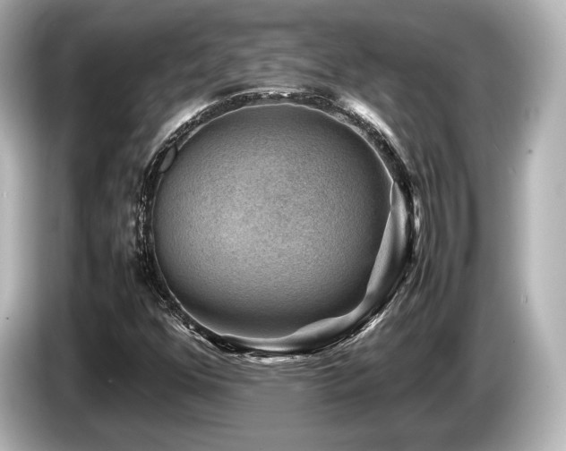 X0000085731352200703160956