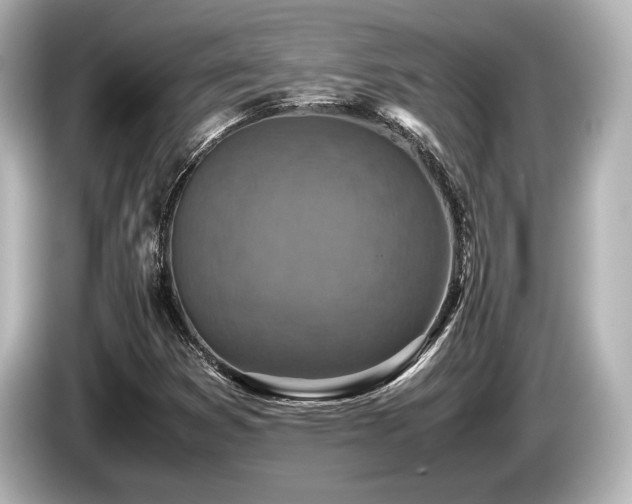 X0000085731353200703160956