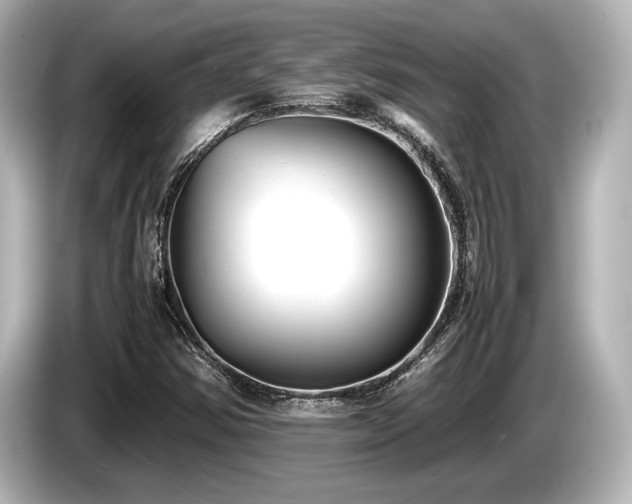 X0000085731354200703160956