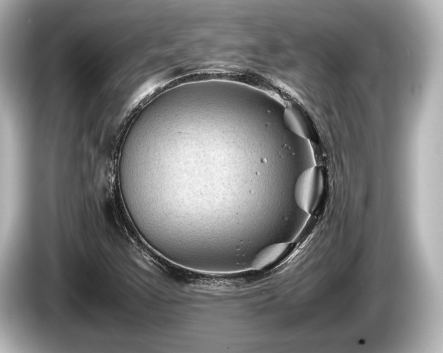 X0000085731355200703160956