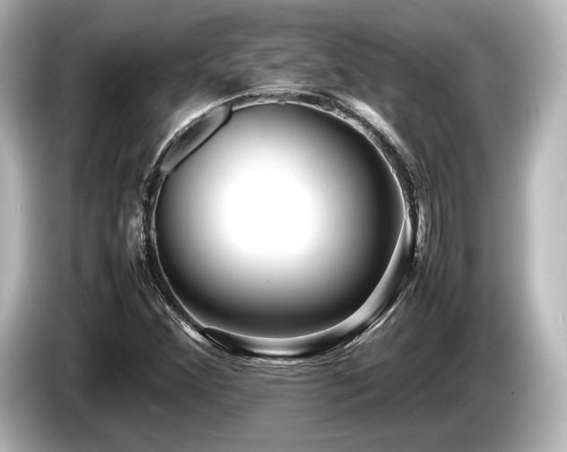 X0000085731356200703160956