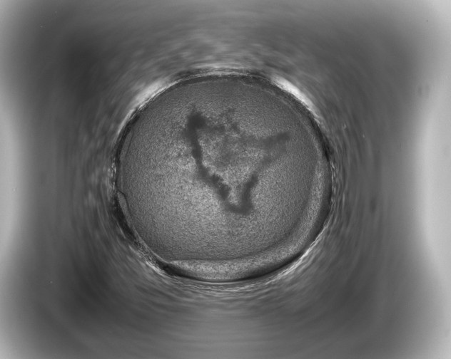 X0000085731357200703160956