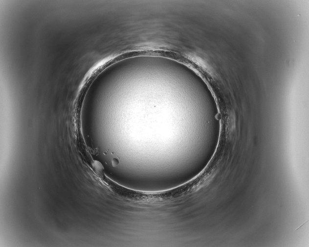 X0000085731358200703160956