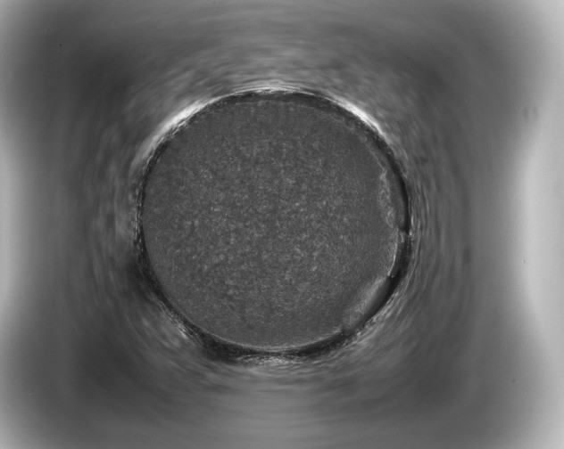 X0000085731359200703160956