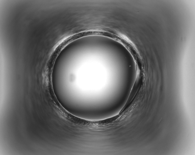 X0000085731360200703160955