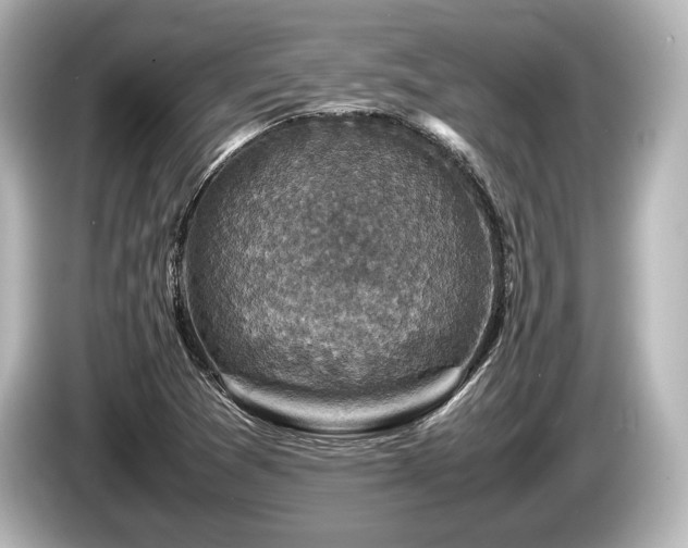 X0000085731361200703160955