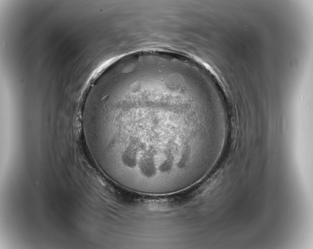 X0000085731363200703160955