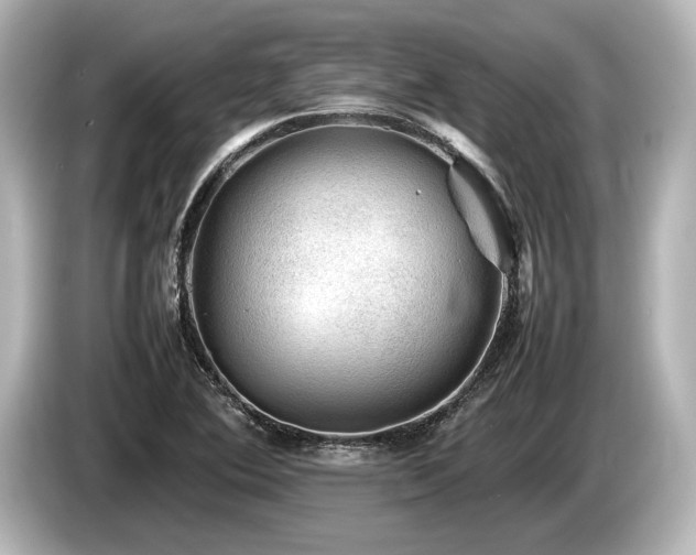 X0000085731364200703160955