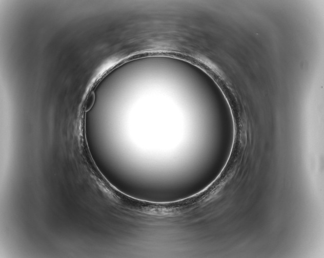 X0000085731366200703160955