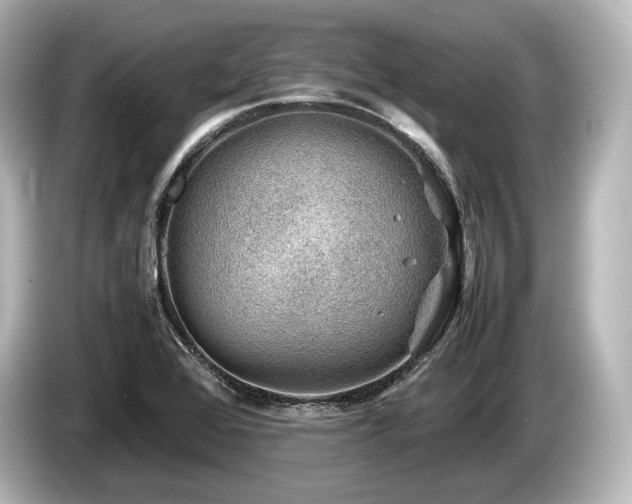 X0000085731368200703160955