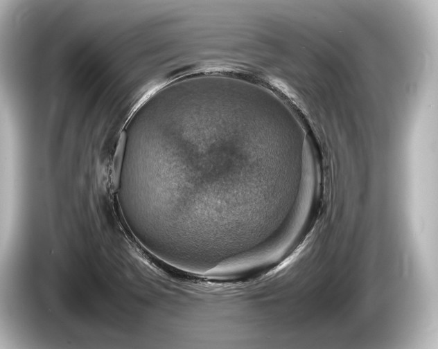 X0000085731369200703160955