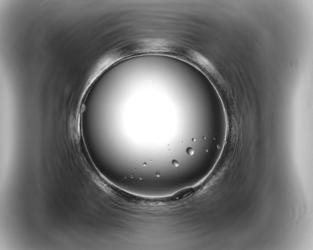 X0000085731370200703160955