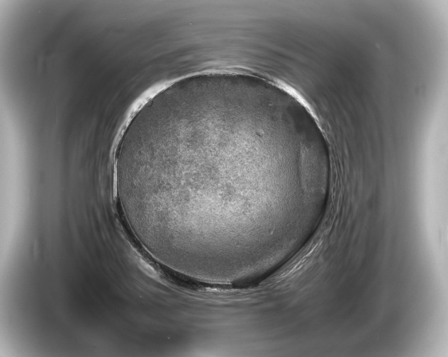 X0000085731371200703160955