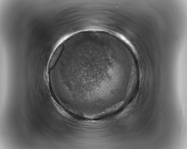 X0000085731372200703160955