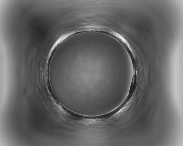 X0000085731373200703160955