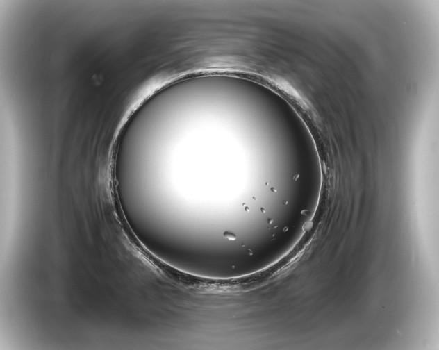 X0000085731374200703160955