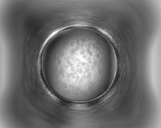 X0000085731375200703160955