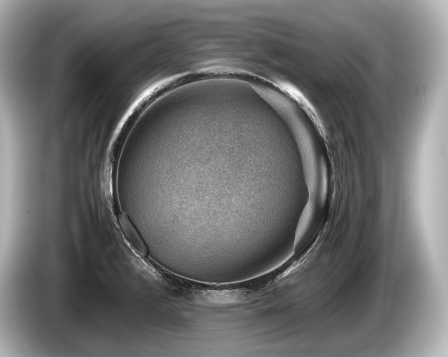 X0000085731376200703160955