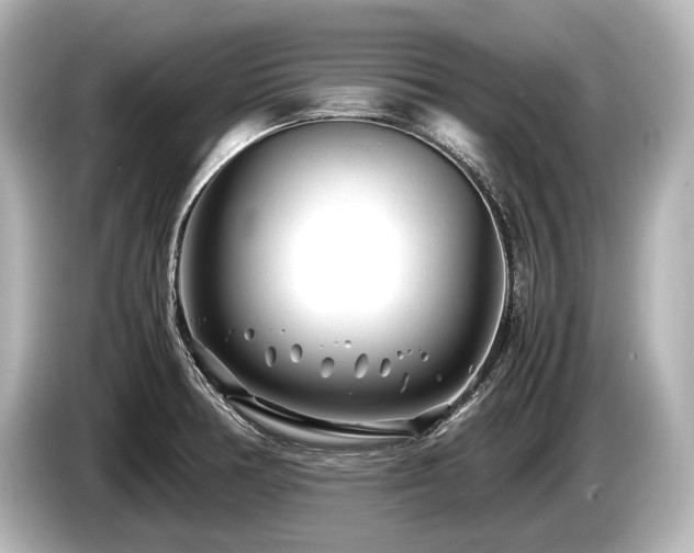 X0000085731378200703160955