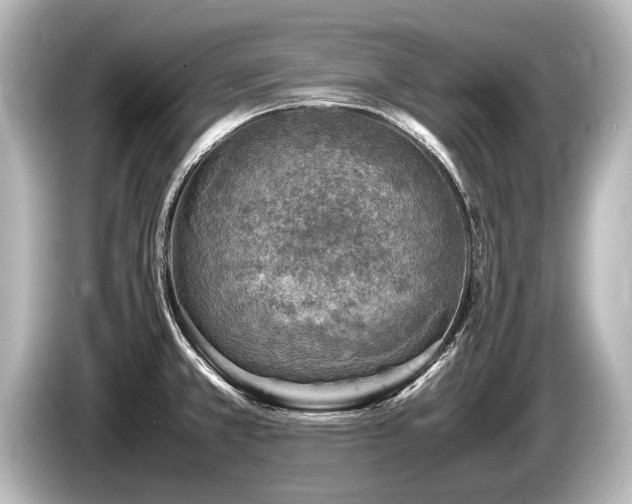 X0000085731381200703160955