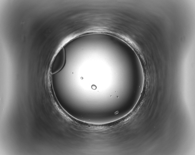 X0000085731382200703160955