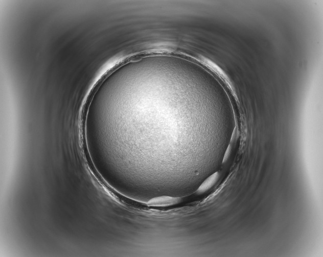 X0000085731384200703160955