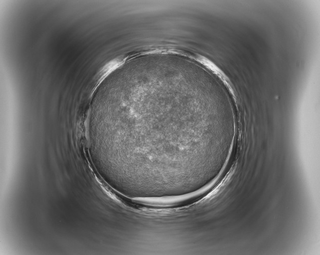 X0000085731385200703160955