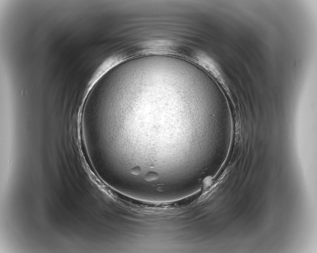 X0000085731386200703160955