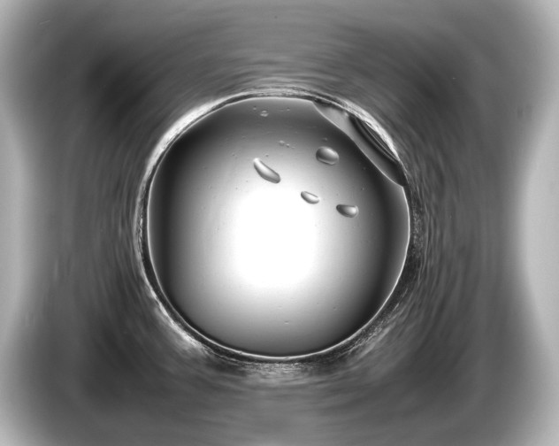 X0000085731387200703160955