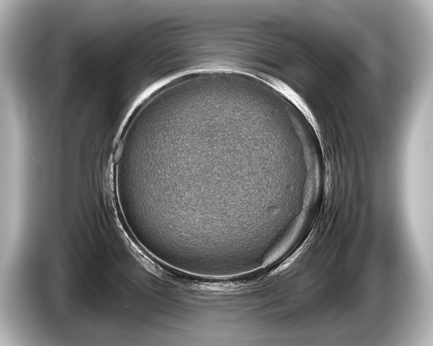 X0000085731388200703160955