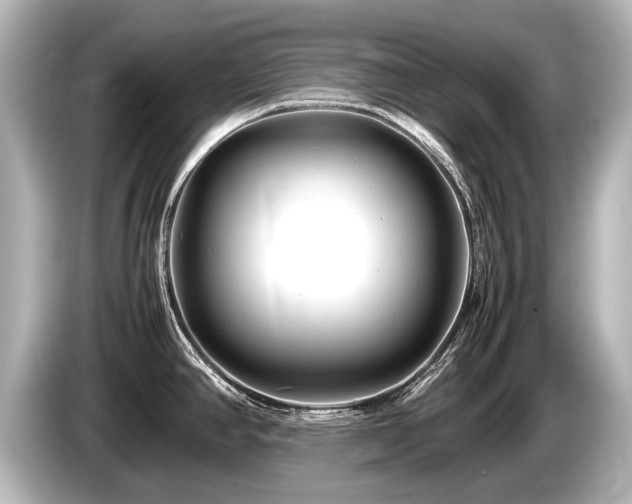 X0000085731390200703160955