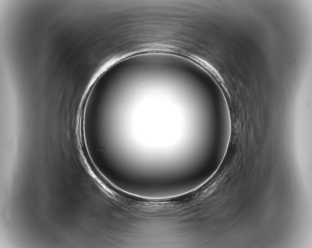 X0000085731391200703160955