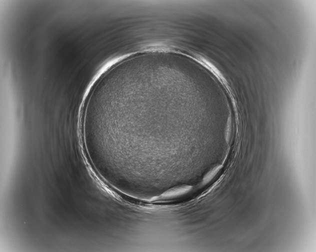 X0000085731392200703160955