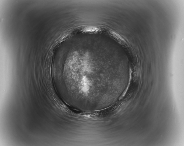X0000085731394200703160954