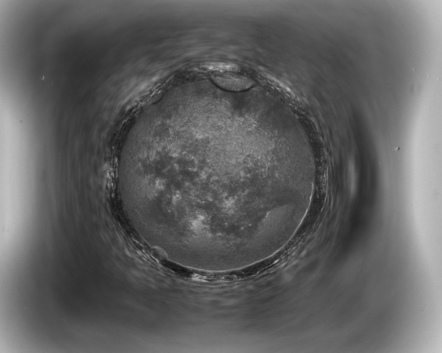 X0000085731397200703160954