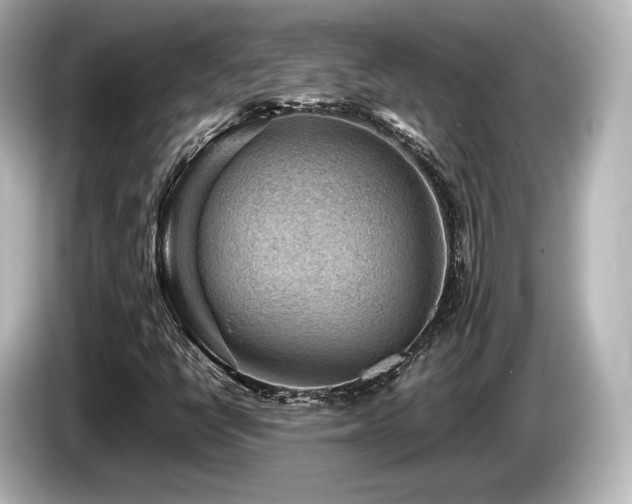 X0000085731398200703160954