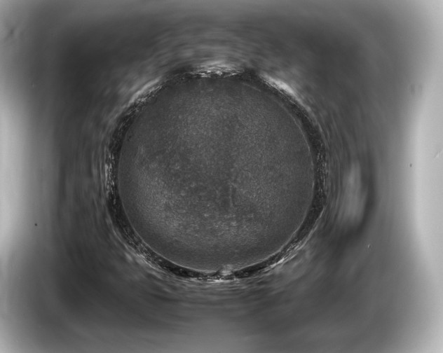 X0000085731399200703160954