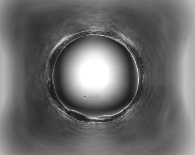 X0000085731400200703160954