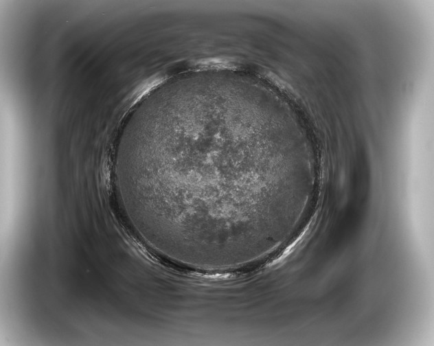 X0000085731401200703160954