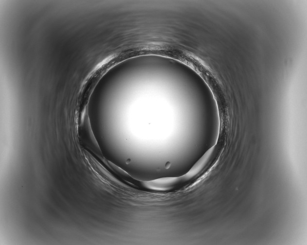 X0000085731402200703160954